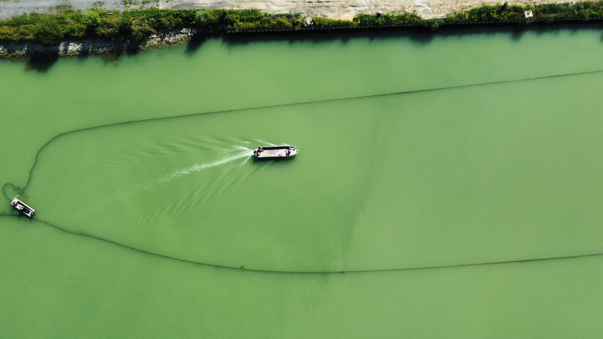 Professionelle Abfischung mit Netzen