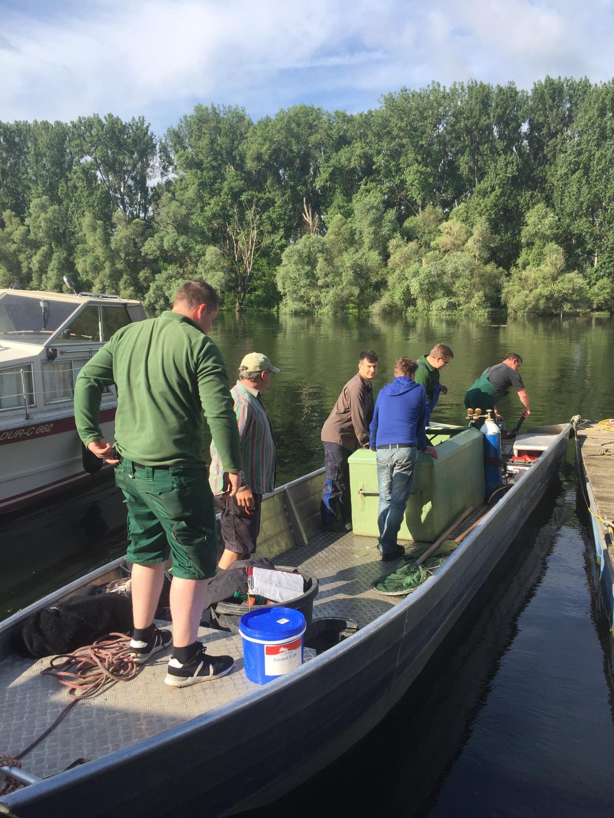 Frischer Speisefisch und Räucherwaren