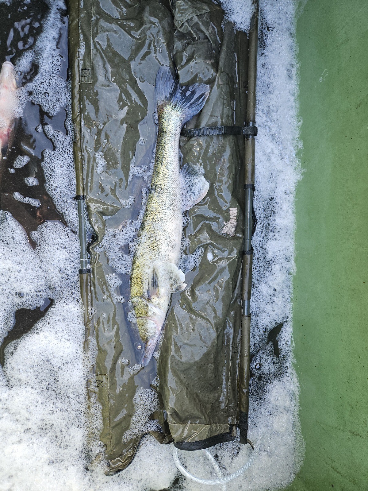 Professionelle Ausrüstung